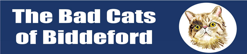 The Bad Cats of Biddeford'