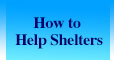 How to Help Shelters